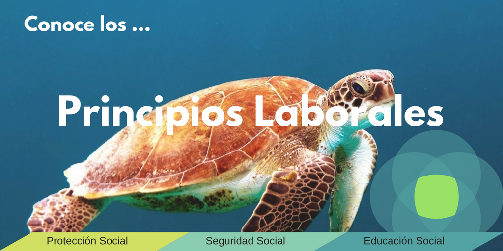 Principios Laborales.png