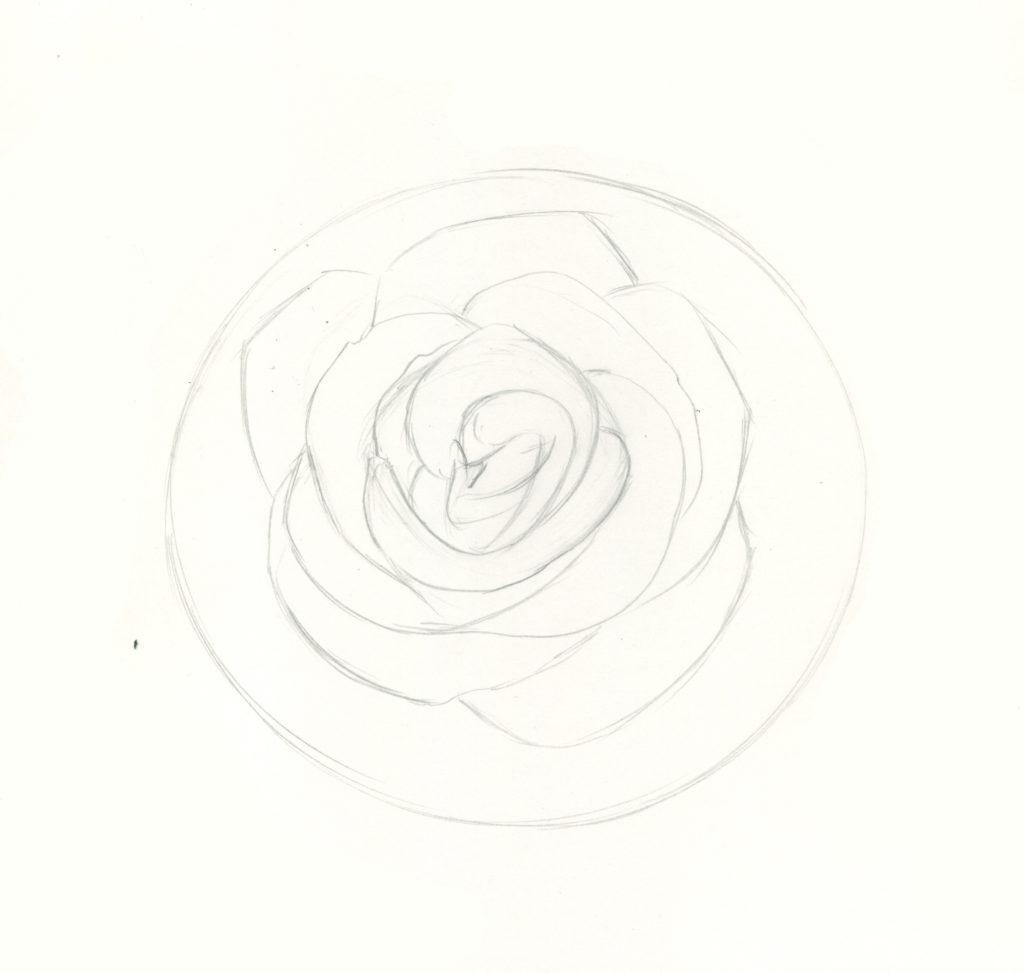 Cách vẽ hoa hồng bước 4