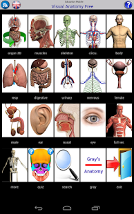 Download Visual Anatomy Free apk
