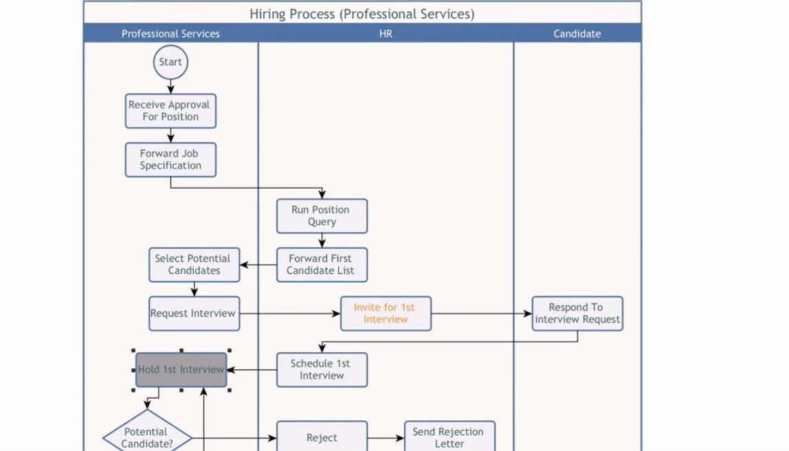  Business Process Mapping 
