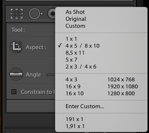 Tele de recorte do Lightroom escolha a opção Custom