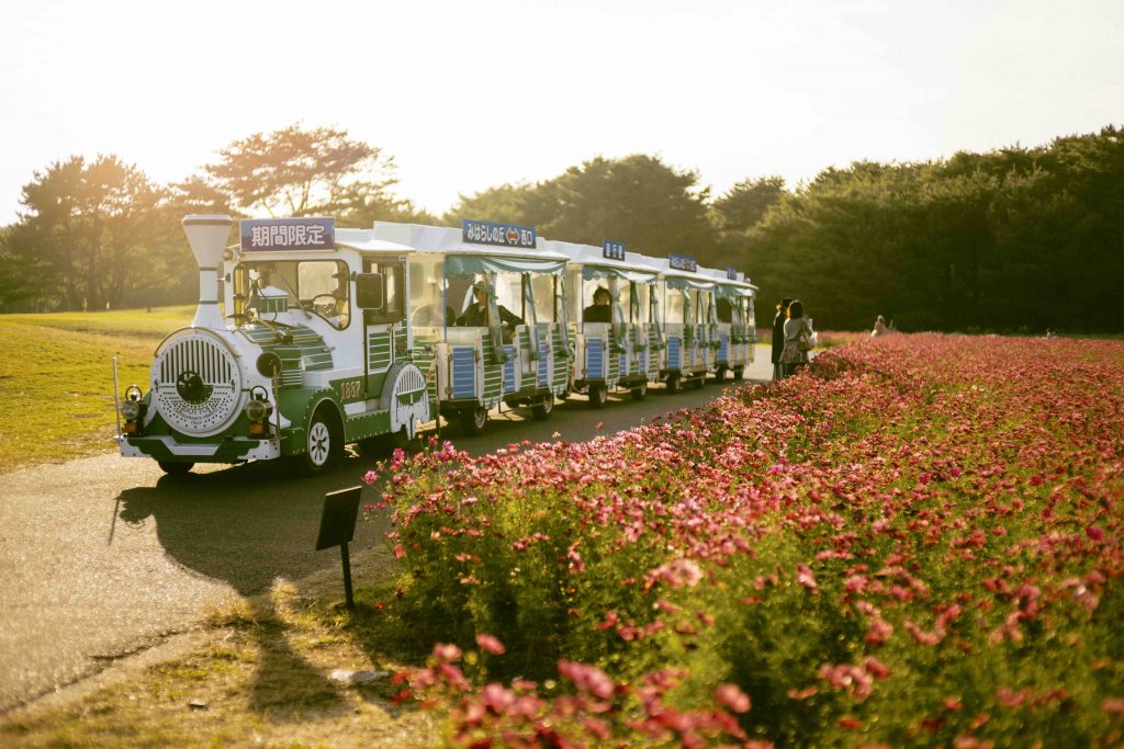 Seaside Park Train at Hitachi Seaside Park in Ibaraki