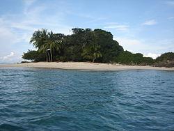 https://upload.wikimedia.org/wikipedia/commons/thumb/f/fc/Coiba.JPG/250px-Coiba.JPG