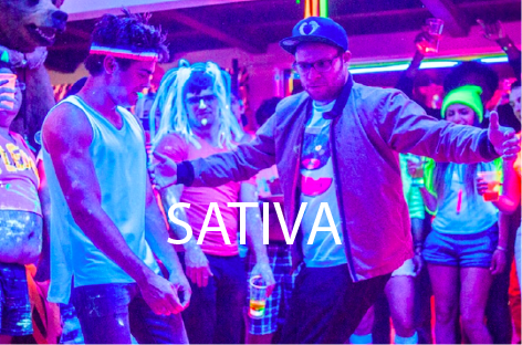Zac Efron and Seth Rogen battle it out on the dance floor after smoking some dank sativa in Neighbors