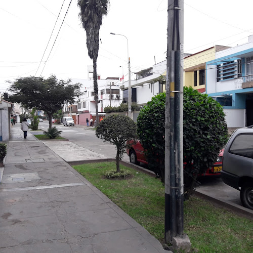 Av. Simón Bolivar 1710, Pueblo Libre 15084, Perú