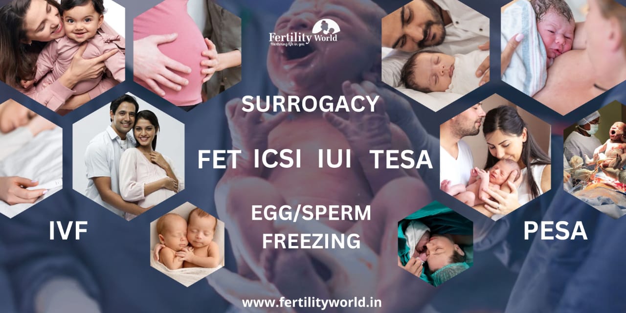  Fertility services provided by the Fertility World
