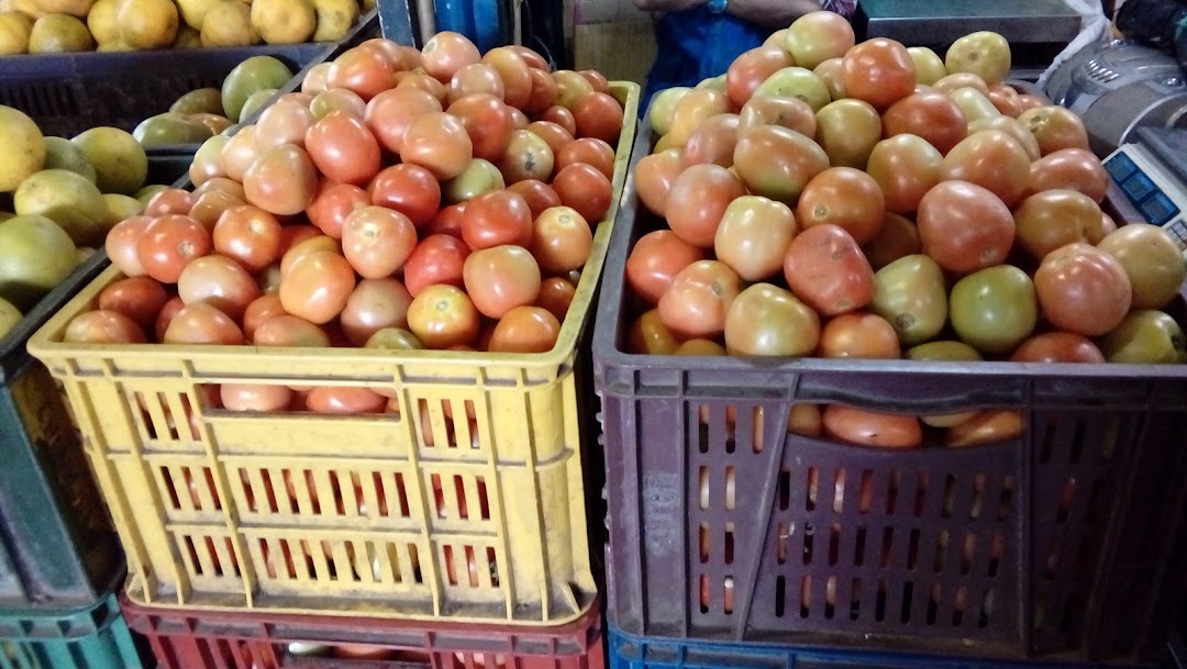 Venta de Tomates DR