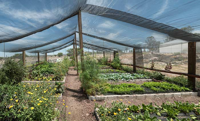 Installing shade cloths or row covers