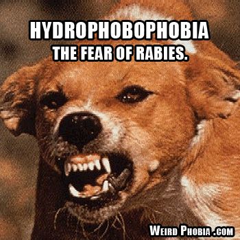 What is Hydrophobophobia? (An Overview)
