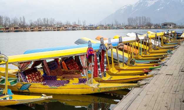 Dal Lake: The Heart of Srinagar 18