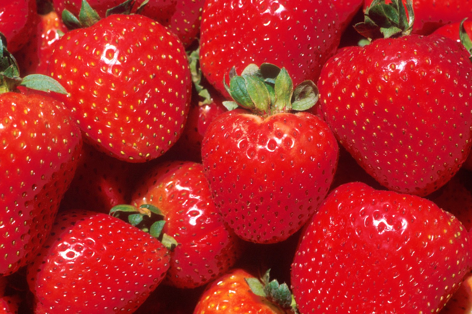 File:Strawberries.jpg