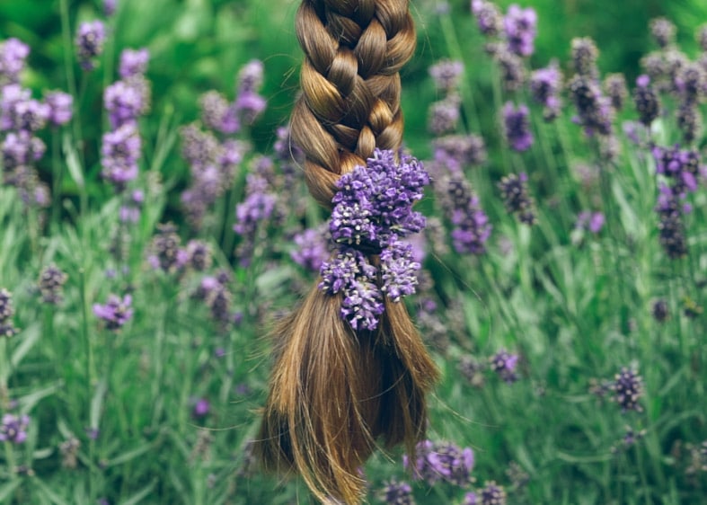 lavender herbal hair rinses