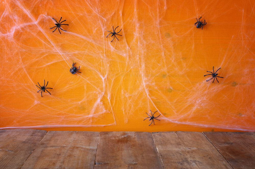 Halloween 2023 com teias de aranha | tomertu no Shutterstock
