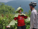 Отчет о велосипедном туристском походе третьей категории сложности по Северной Осетии