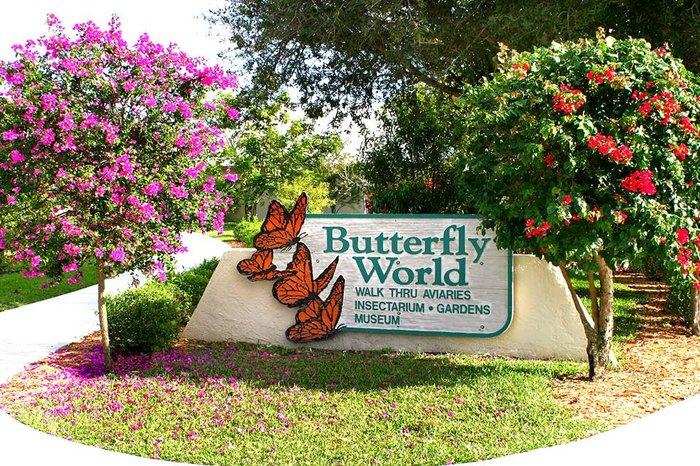 Visit Butterfly World In Florida, The World's Largest Butterfly Park