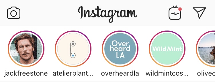 How Does Instagram Rank Story Viewers  Why Same Person