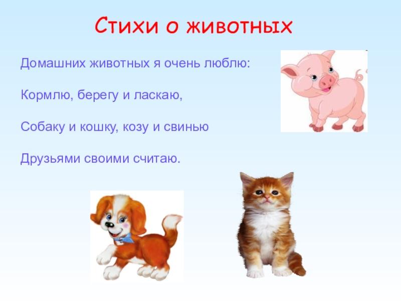 Животные стихи картинки