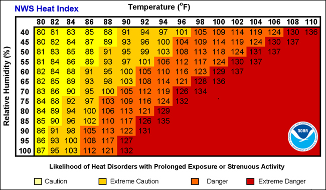 Table

Description automatically generated with low confidence