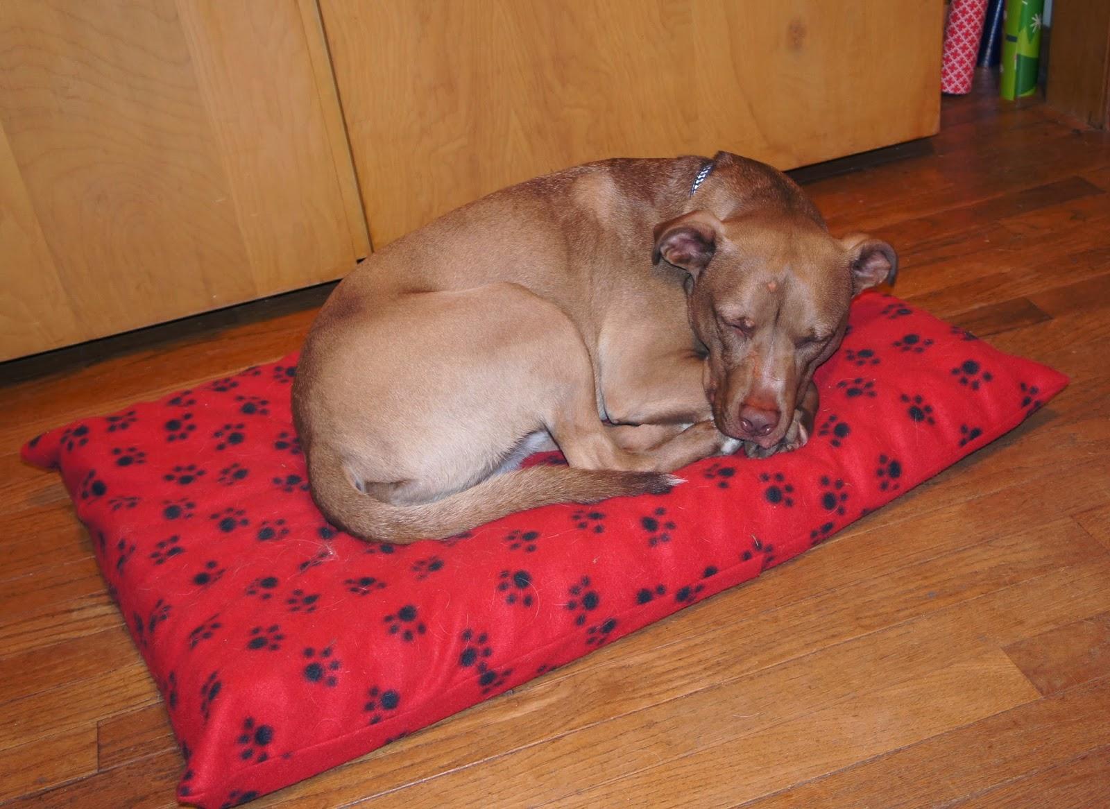 DIY Orthopedic Dog Bed