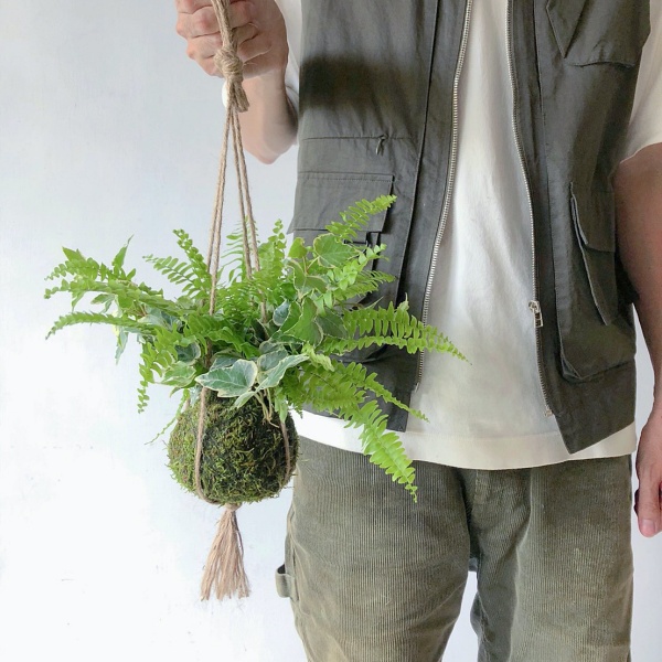 苔球製作 苔球diy 澆水頻率 換盆方式 苔球照顧必知的7 大基礎知識 Pinkoi 設計誌