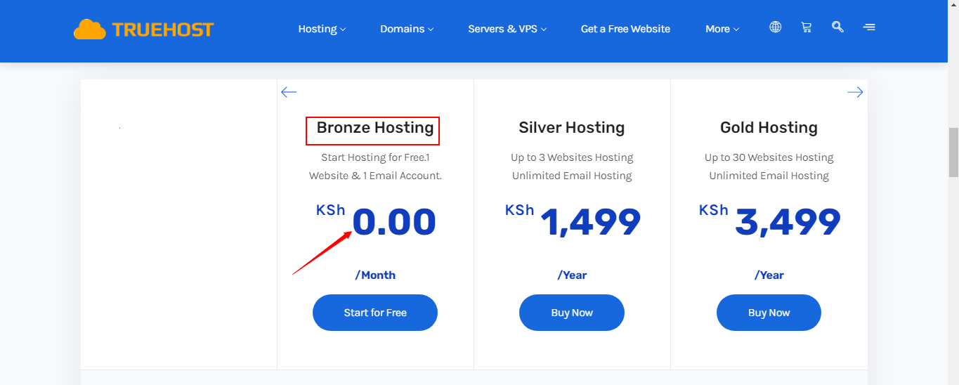 Truehost Cheap web hosting