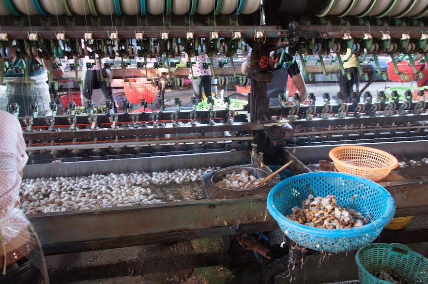 Очаровательный Вьетнам. Декабрь 2013 г. (много фото)