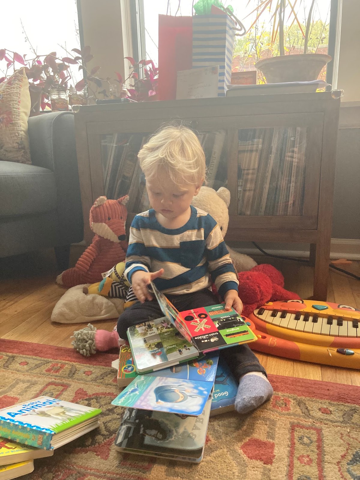 A picture of a young toddler reading a picture book.