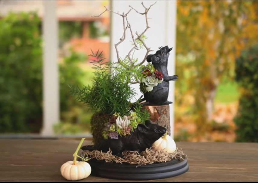 Rat planters