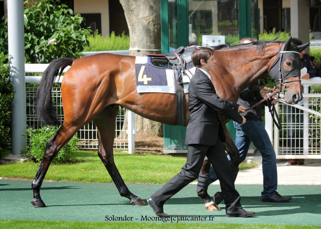 Photos Auteuil 16-05-2015 Week-end printanier de l'obstacle - Page 2 CwDvgkLViF9Ij5JUOmzGIrLJYh03ZyIJiDbb0cmF0a89=w1024-h732-no