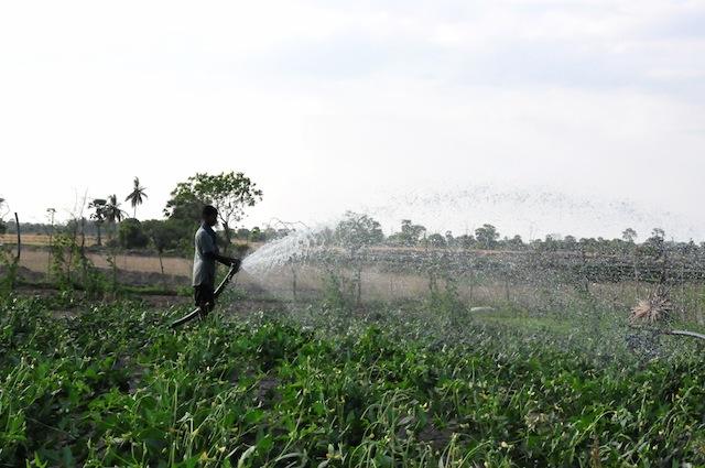 A man uses water from an industrial-grade pump in the Karadiyanaru area of the eastern Batticaloa District. Experts warn that the rampant use of powerful water-pumps in this arid region is putting undue stress on the water table. Credit: Amantha Perera/IPS