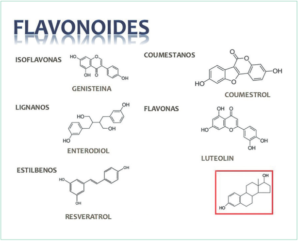 Representación de los cinco grupos de flavonoides comparados con el 17 estradiol.