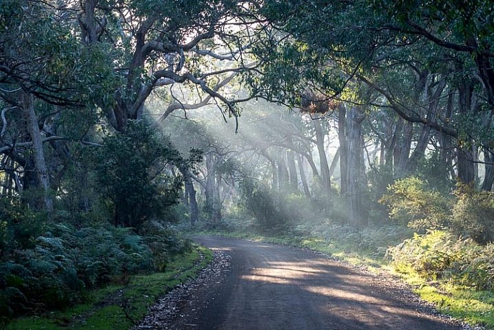 10 dicas para fotografar paisagens