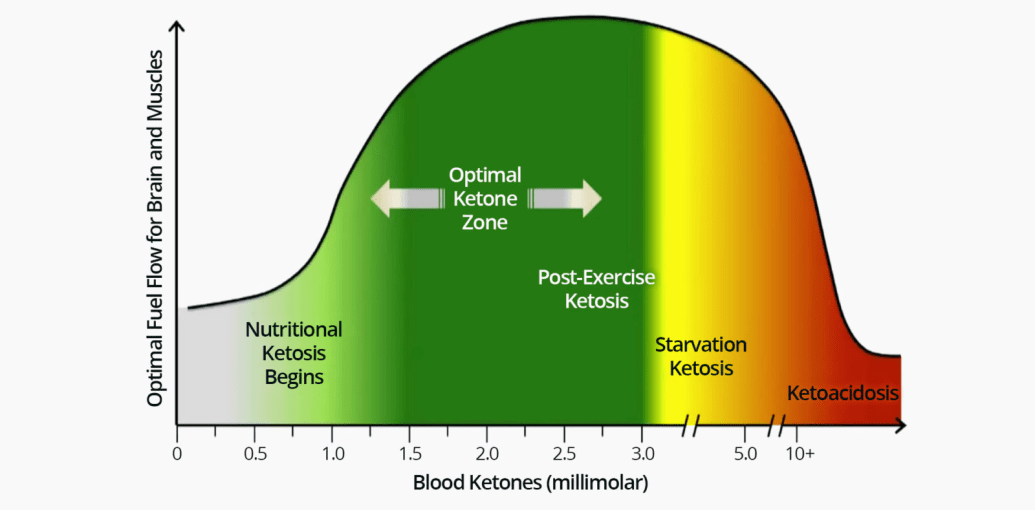 optimal ketone levels