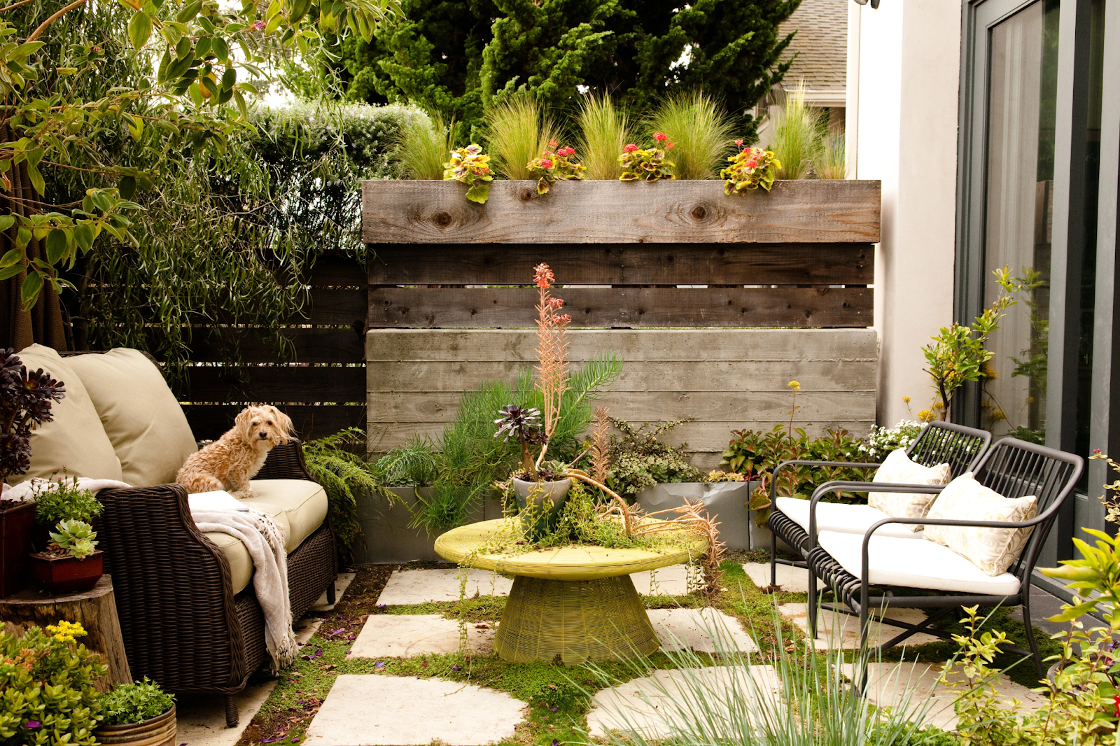 Welcoming outdoor space filled with plants and greenery