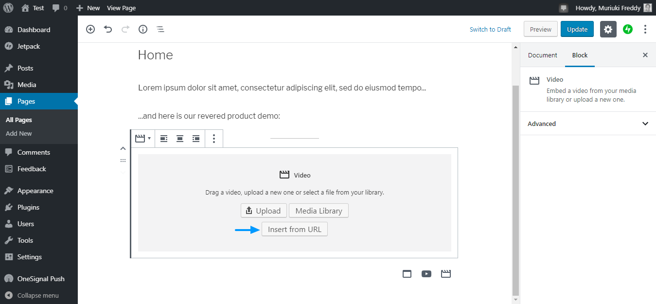 adicionar vídeo ao wordpress inserindo a opção url