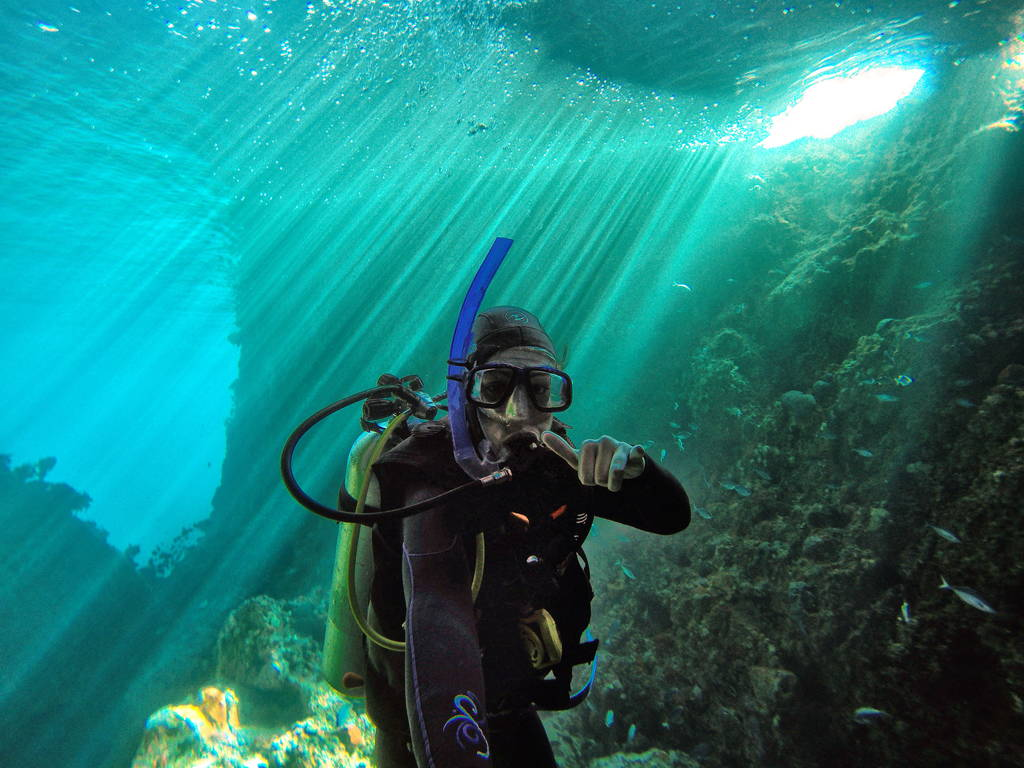 Dive North Bay, New Zealand Tours