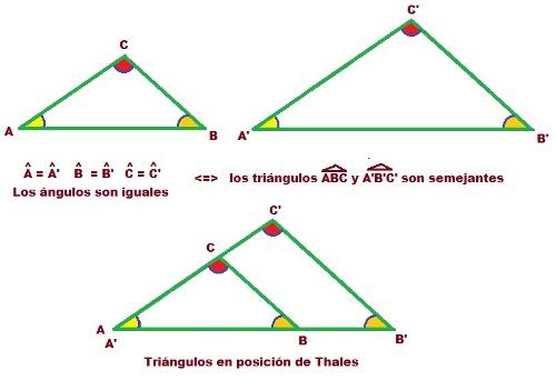 http://descargas.pntic.mec.es/cedec/mat3_2/contenidos/M3_U6/Triangulos_semejantes.jpg