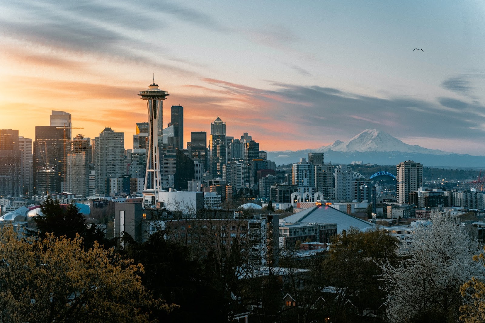 Seattle Skyline