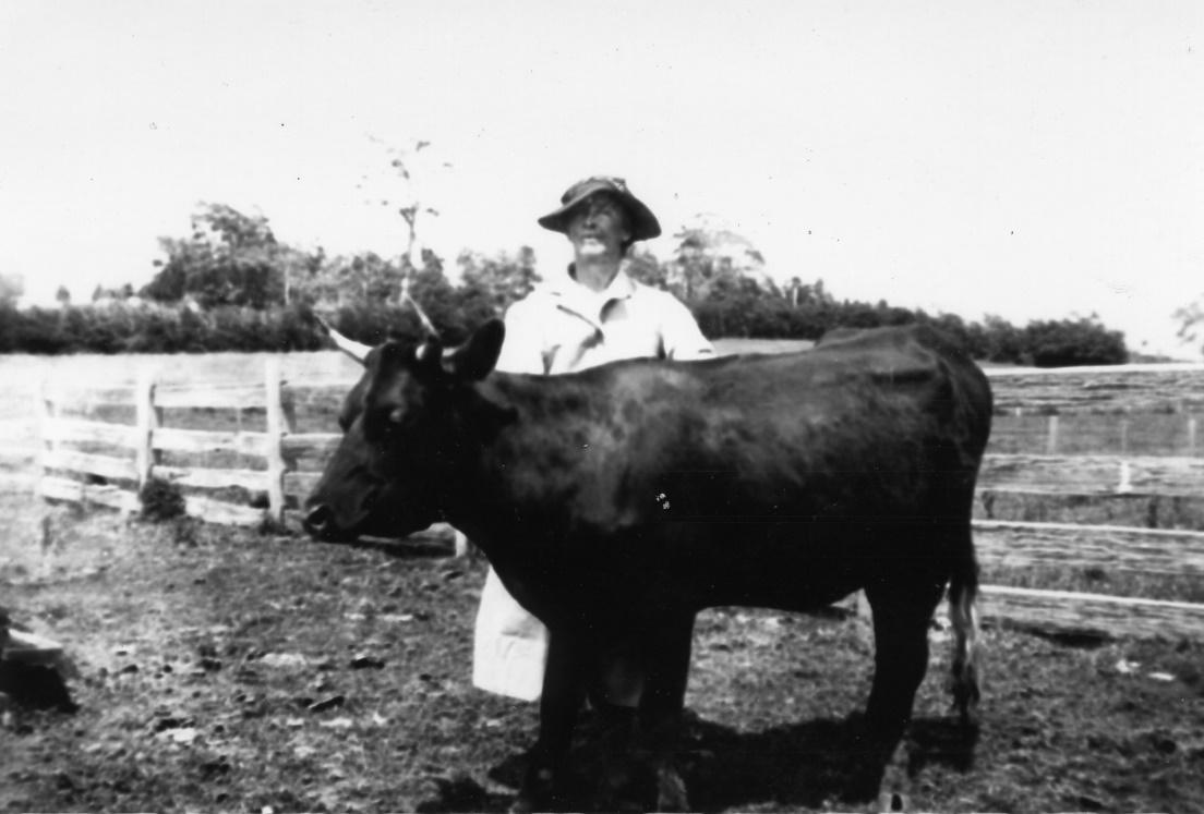 A picture containing cow, outdoor, sky, grass

Description automatically generated