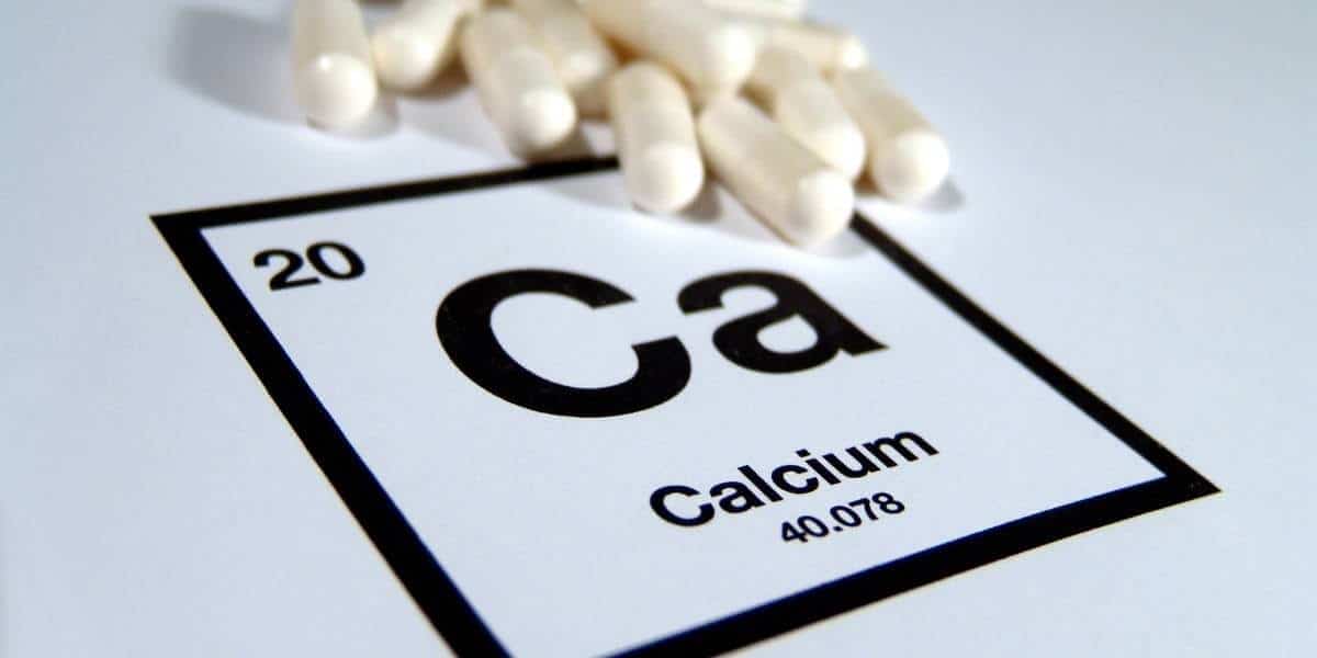 The body needs calcium to survive