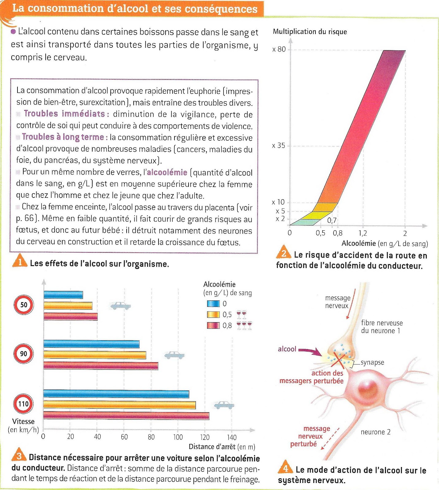 Comment Les Drogues Perturbent Elles La Perception Visuelle Schéma 4° Les perturbations du système nerveux