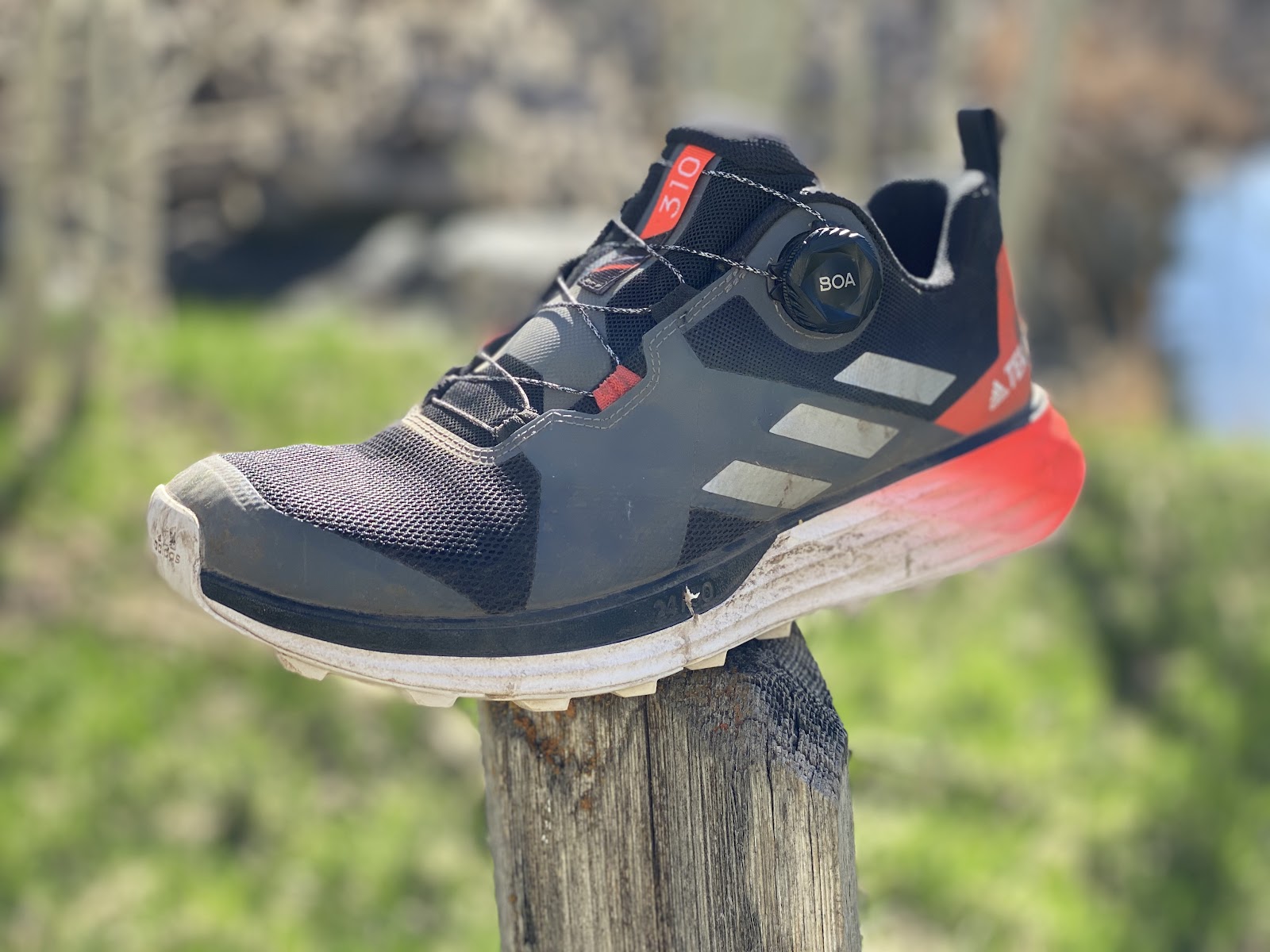 adidas terrex boa hiking