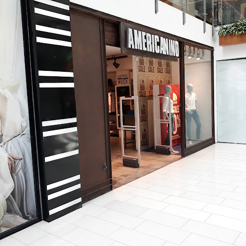 Americanino