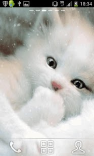 Sweet Baby Cat Live Wallpaper apk Review