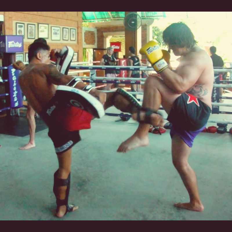 Description: Macintosh HD:Users:brenton:Downloads:Muay Thai Pic1.png