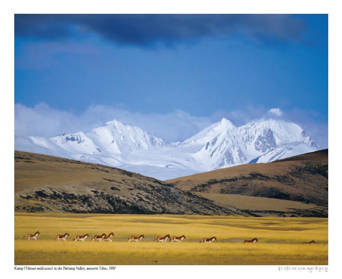 My Tibet calendar