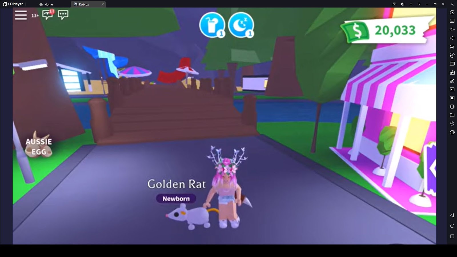 Roblox Adopt Me How to Level Up Your Pets?-Game Guides-LDPlayer