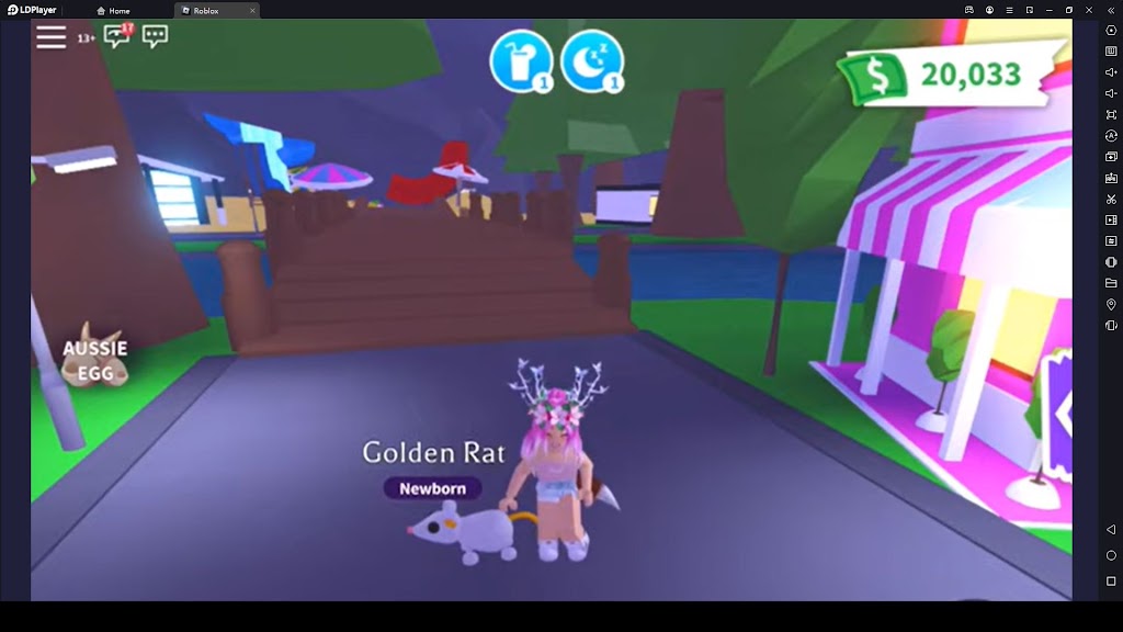 Tips for your Pet Leveling