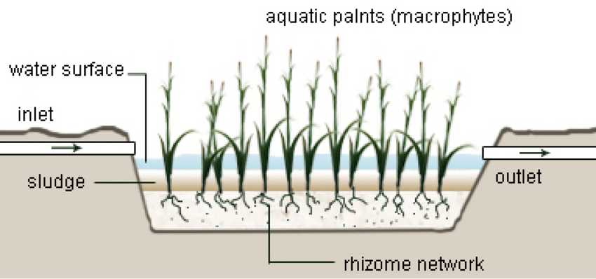 Classification of Constructed Wetlands