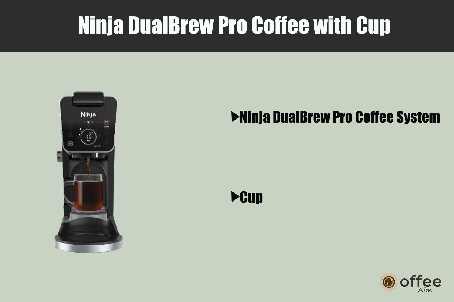 "This image features the cup used with the Ninja DualBrew Pro Specialty Coffee System, as presented in the article 'How to Use Ninja DualBrew Pro Specialty Coffee System, Compatible with K-Cup Pods, and 12-Cup Drip Coffee Maker.'"